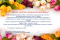 Милые, нежные, прекрасные женщины!