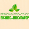 Центр инноваций социальной сферы ГАУ «Брянский областной бизнес-инкубатор» 26 октября 2017 года проводит бесплатный мастер-класс