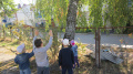 Эта прекрасная осень